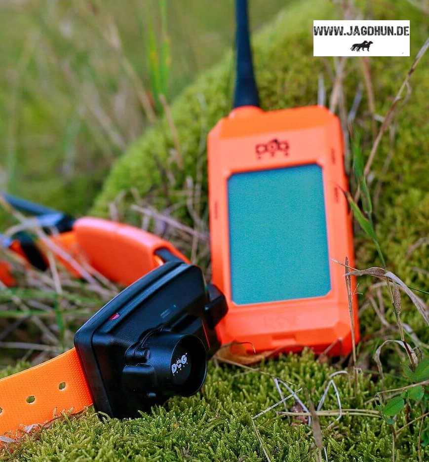Dogtrace GPS X30 Set