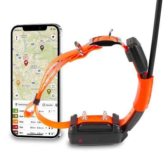 Dogtrace GPS X30T Set